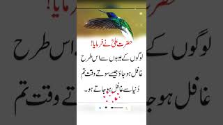 👍🌟Hazrat Ali Motivational quotes in urdu  Motivational quotes in shorts status youtubeshorts [upl. by Gaillard]