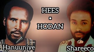 HEES  Hodan Maad Ka hadashaan  Cabdalla Yuusuf Hanuuniye  Lyrics [upl. by Anerres]