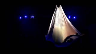 Carlotta De Bono  BGlare Performer  Aerial hammock [upl. by Hannis]