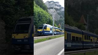 Berner OberlandBahn Bernese Oberland Railway on the way to Grindelwald in the Swiss Alps 🇨🇭 [upl. by Annaehs]