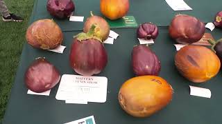 Malvern autumn show walk around [upl. by Nevil]