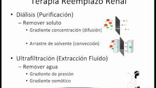 Terapias de reemplazo renal aguda en pediatria Francisco Floresmp4 [upl. by Nisse604]