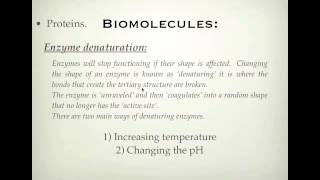 VCE Chemistry Unit 4 Proteins p2  structure and uses of proteins and enzymes [upl. by Anirual]