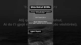 GJithcka ndodh për një qëllim 🫶 [upl. by Zelten]