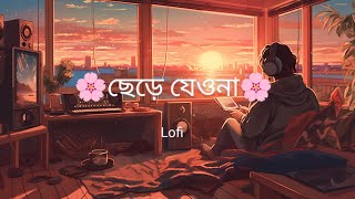 chere jeyona tanvir evan lofi  night  ছেড়ে যেওনা  night alone song [upl. by Legnaleugim]