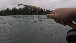 Kenai river Alaska soldotna creek park fishing for sockeye salmon on my new fly rod flossing reds [upl. by Othilia313]