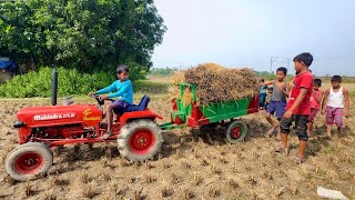 Went To Bring Paddy To The Field With Mini Tractor  Farmer Funny Video  Mini Tractor [upl. by Tommi]