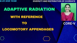 Adaptive Radiation With Reference To Locomotory Appendages BSc 2nd YearAdaptiveRadiationmammals [upl. by Sadye]