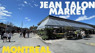 Montreal Jean Talon market  summer atmosphere in May [upl. by Salangia]