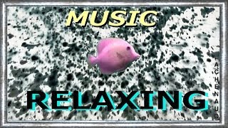 SWIM LITTLE FISH SWIM Music ZEN Relaxation Zénitude JeanLuc LACHENAUD [upl. by Berlyn467]