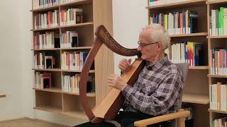 Lap Harp in Vienna [upl. by Enwad]