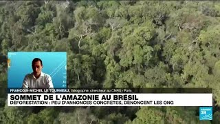 Sommet sur l’Amazonie  quotle Brésil est de retourquot • FRANCE 24 [upl. by Rochella]