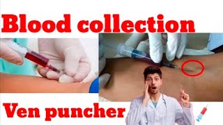 blood collection 💉 blood निकालना सीखे  blood procedure  medical knowledge [upl. by Bithia102]