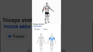 Tricep stretch  Home workout [upl. by Timofei]