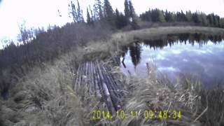 hunting Kapuskasing N Ontario outlander 800 atv 4 [upl. by Hanzelin]