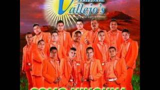 BANDA VALLEJOS DEJAME ROBARTE UN BESO PROMOS 2010 [upl. by Moira]