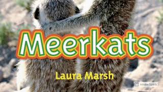 National Geographic Kids Readers  Meerkats [upl. by Colville]