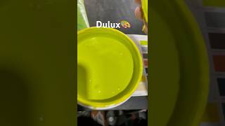 Dulux Promise 7773 Lemon Souffle paints dulux colourcombination viralvideo viralreels apt [upl. by Peednus]