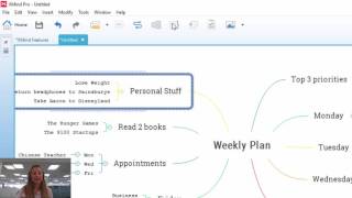 Xmind 8 Tutorial Adding Boundaries [upl. by Aniteb]