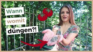 Tomaten richtig düngen 🍅 Nutzt du diese 3 Methoden [upl. by Lunnete380]