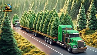 How Farmers Harvest Christmas Trees  Agricultural Documentary [upl. by Aihsem]