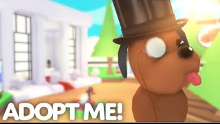 Inventory tour adopt me [upl. by Itnuahsa980]