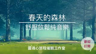 春天的森林｜一小時舒壓放鬆純音樂｜ 大自然與鋼琴旋律｜心靈SPA 放鬆音樂 放鬆療癒音樂 ＃療癒音樂 瑜珈音樂 靜心音樂 ＃冥想音樂 ＃舒壓音樂 [upl. by Eyahsal729]