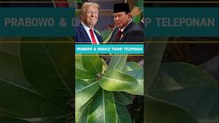 Prabowo telpon donal trump shots trending beritaterkini [upl. by Ahtoelc]