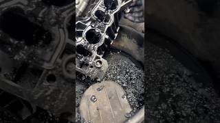 Bmw 320d Look what’s inside your intake ￼ manifold [upl. by Kciv691]