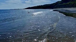 Walking the Jurassic Coast Dorset on a sunny day [upl. by Marj]