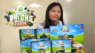 Woolworths Bricks farm shed Unboxing and building [upl. by Lemuelah]