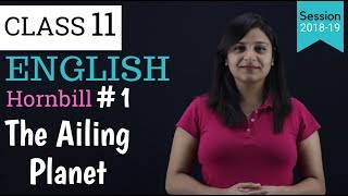 Summary of The Ailing Planet in Hindi  Class 11  hornbill [upl. by Witherspoon]