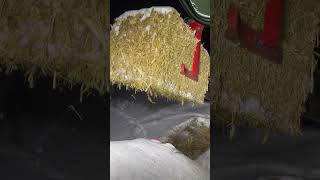 Cold Night for Stacking fendt farming haytractor agri satisfying shorts [upl. by Bette-Ann]