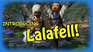 Introducing Lalafell [upl. by Toblat243]