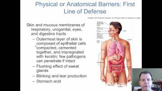 Chapter 14  Innate Immunity [upl. by Aisayn960]