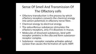 Olfactory System Part2  Calicut university Bsc Psychology [upl. by Renckens]