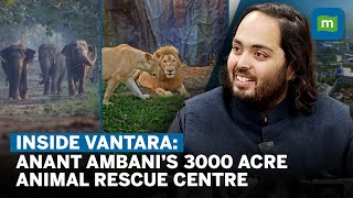 Inside Vantara Anant Mukesh Ambani’s 3000 Acre Animal Rescue amp Rehabilitation Centre  Interview [upl. by Corina662]