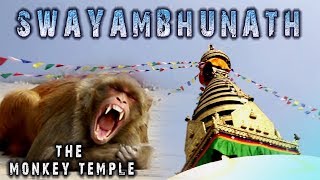 Swayambhunath Kathmandu NEPAL The Monkey temple स्वयम्भुनाथ काठमान्डौ  wavenepal [upl. by Elsinore]