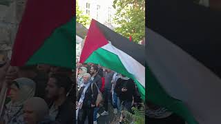 Pro palestine Proteste in Berlin ausländer berlin palestine freegaza [upl. by Relyt617]