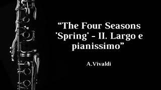 Spring larghissimo e pianissimo AVivaldi  Clarinet Solo  Musical Accompaniment [upl. by Deck]