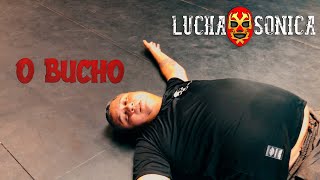 Lucha Sônica  O Bucho Paródia [upl. by Caitrin]