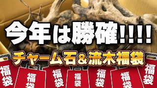 チャーム福袋2024今年は勝ち確ありがとう！石と流木中身も大公開 アクアリウム 熱帯魚 charm 【ビバアクア】 [upl. by Morissa]