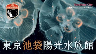 🎄2023東京聖誕＿東京池袋陽光水族館 [upl. by Acinoda]