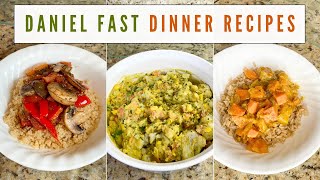 Daniel Fast Dinner Recipes amp Meal Ideas  Quick amp Easy [upl. by Sina384]