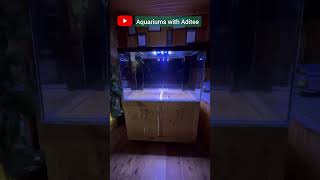 day28  15 mm Ultra Clear Glass Fish Tank  Zero silicon Aquarium  Blessings Aquarium fishtank [upl. by Ynad]