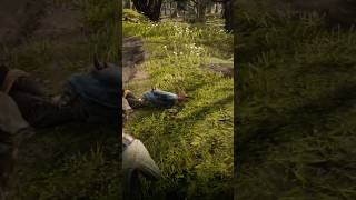 Knife shot on head rdr2 gameplay rdr2missions gameplay ytshorts [upl. by Furr]