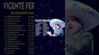 VICENTE FERNANDEZ 💥 VICENTE FERNANDEZ SUS MEJORES EXITOS 25 GRANDES EXITOS [upl. by Aihsel273]