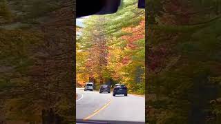 Kancamagus Highway  White Mountain National Forest  Passaconaway Road Albany  New Hampshire USA [upl. by Jeanelle]