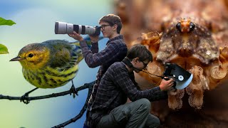 Macro amp Wildlife Photography in a City Park [upl. by Nelac]