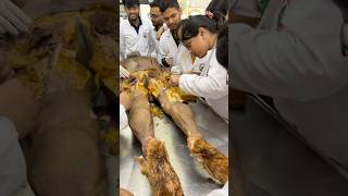 Dissecting the cadaverdead body  Back of thigh  Anatomy  practical  lower limb [upl. by Aleydis]